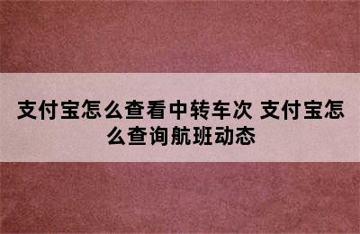 支付宝怎么查看中转车次 支付宝怎么查询航班动态